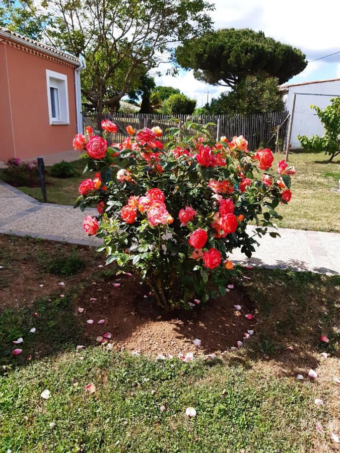 Appartement Independant A 10Min Des Plages Au Calme Proche O'Gliss Et O'Funparken Campagne La Jonchere Εξωτερικό φωτογραφία